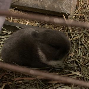 Meet your Posher, Madison